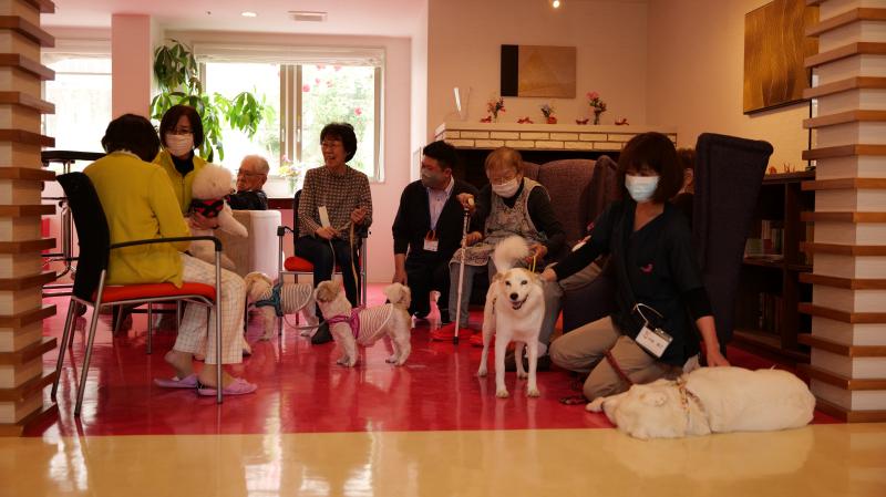 有料老人ホーム　らくら宮の森のメイン写真